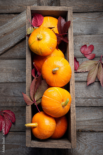 Autumn pumpkins with red leaves on a wooden background. Autumn halloween concept. Copy space