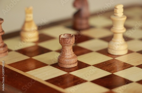 chess pieces on the Board