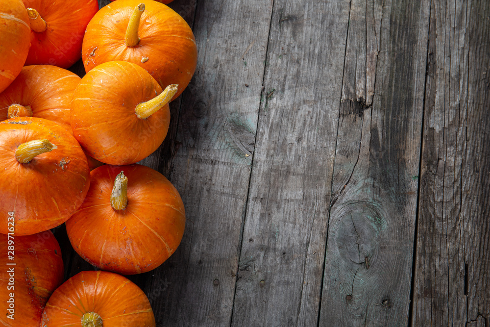 Autumn background for text with pumpkins. Top view. Copy space Autumn background for text with pumpkins. Top view. Copy space
