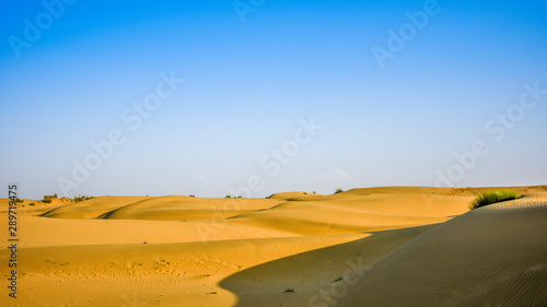 sand dunes in the desert