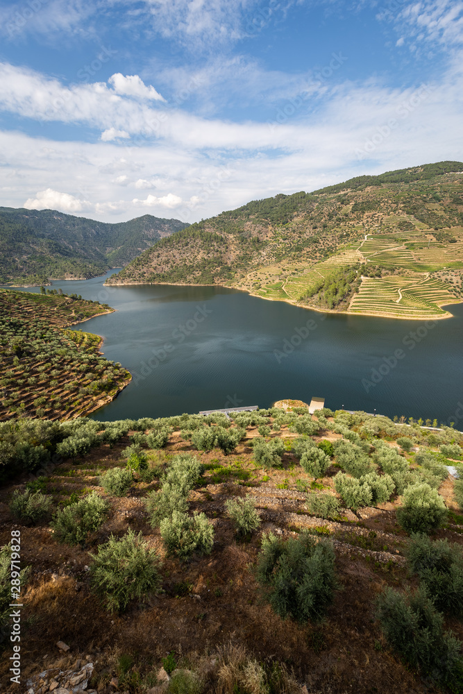 Scenic view of Alto Douro Vinhateiro with terraces and vineyards