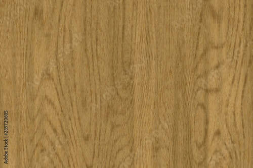 Wood oak tree close up texture background. Wooden floor or table with natural pattern 