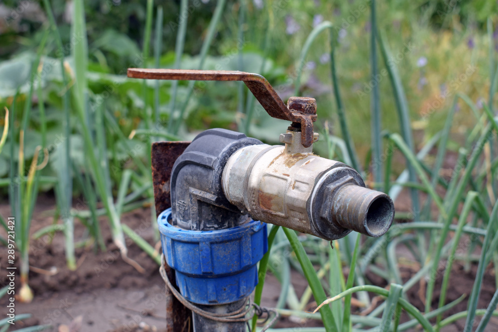 Close-up water tap on a bed of green onions. Old metal crane for watering a summer cottage. Special equipment for the care of the garden. Close-up water tap on a bed of green onions. Old metal crane for watering a summer cottage. Special equipment for the care of the garden.