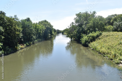 landscape with river and trees