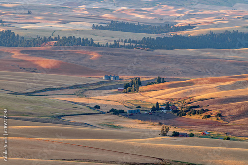 Farm country in Eastern Washington during harvest season