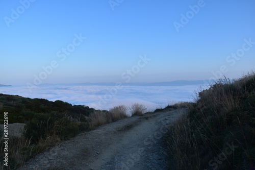 foggy morning road