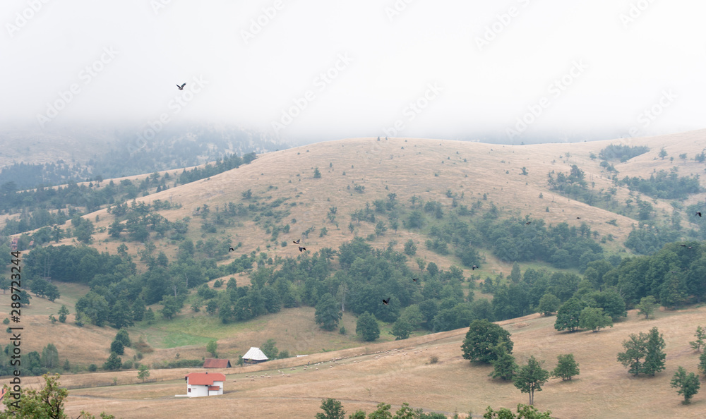 Obraz premium Hilly landscape in Serbia, Zlatibor. Beautiful view with hills, clouds, trees and wooden houses. Blue sky and grass. Beautiful plain. Foggy day and hills. Nature