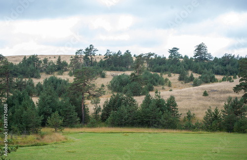 Hilly landscape in Serbia, Zlatibor. Beautiful view with hills, clouds, trees and wooden houses. Blue sky and grass. Beautiful plain. Foggy day and hills. Nature