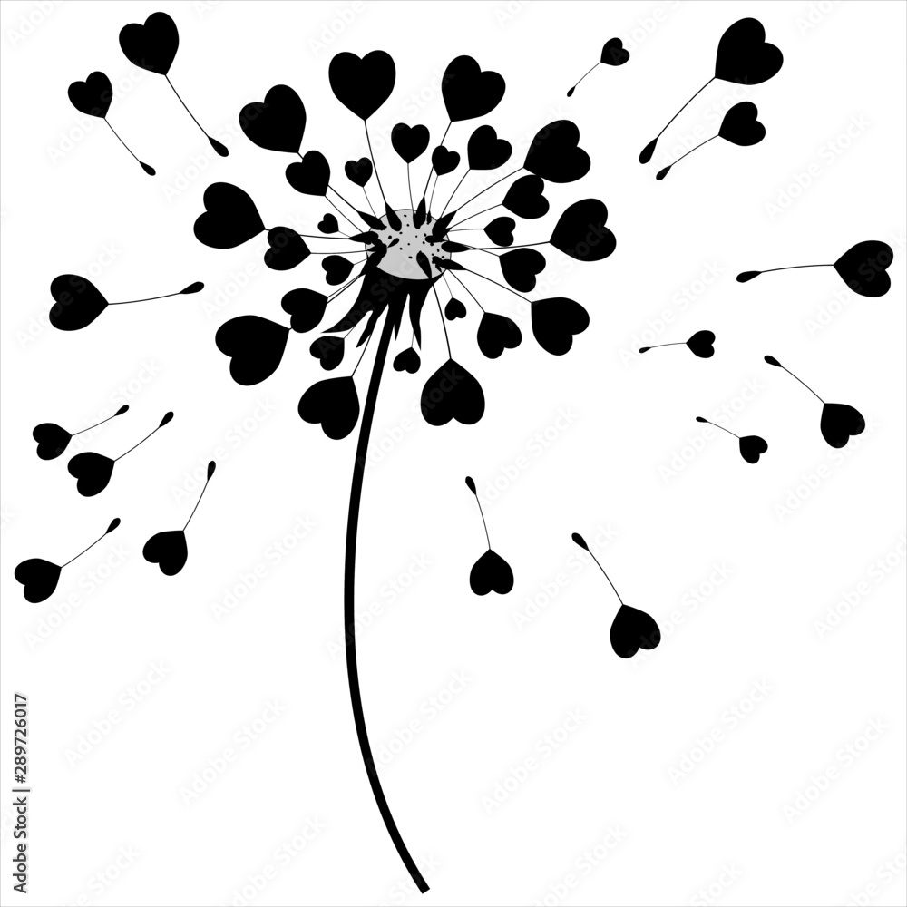 Fototapeta Dandelion image with hearts, romantic design, silhouette on white background