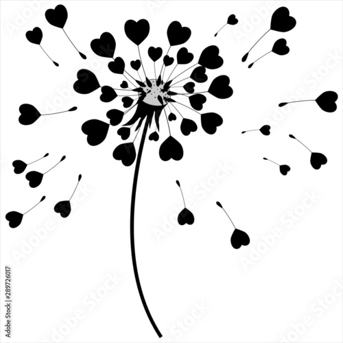 Dandelion image with hearts, romantic design, silhouette on white background