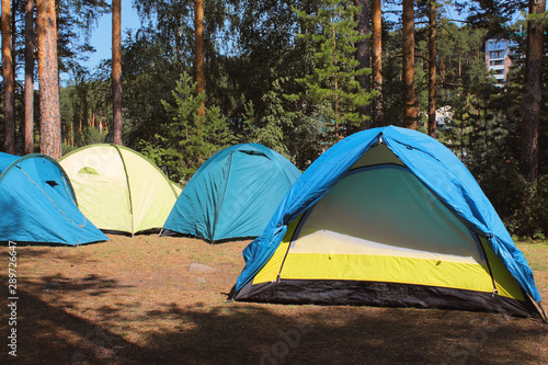 Campground on the lake. Tents in the forest. Close-up. Background. Scenery.