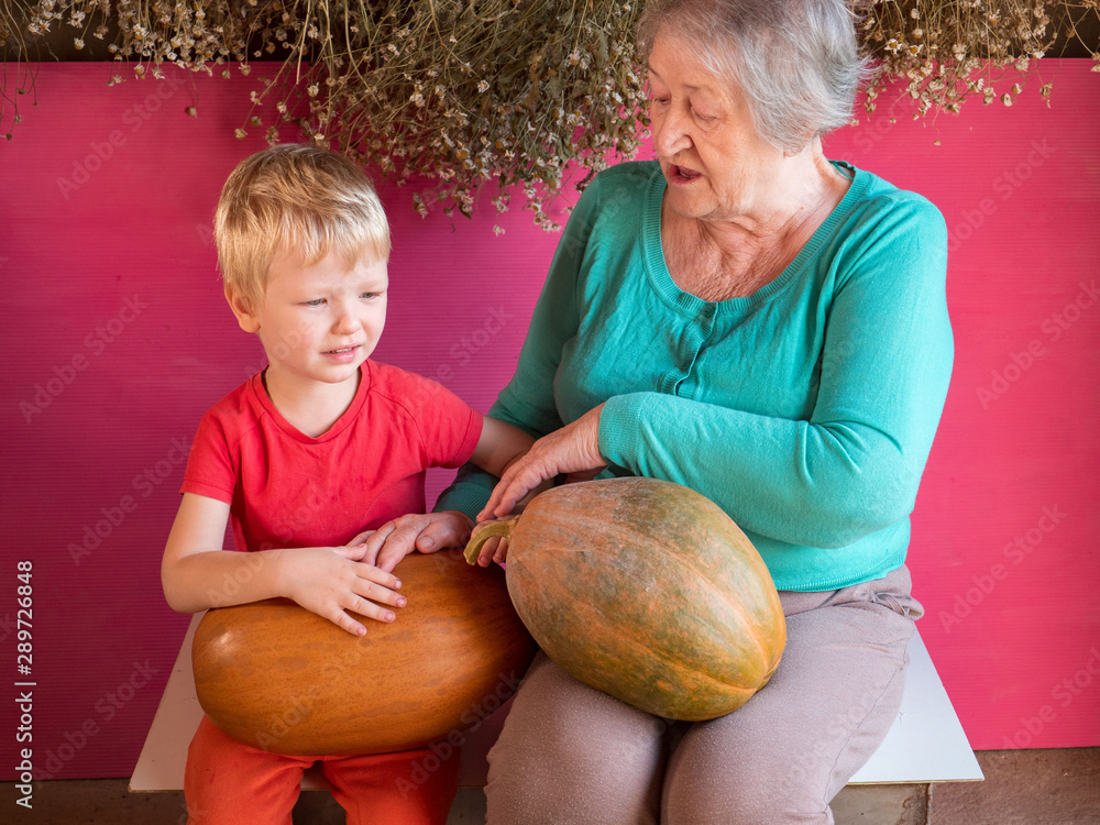 Fototapeta premium elderly woman granny in turquoise sweater with grandson sits with large pumpkin on her lap against background of dry daisy flowers in barn
