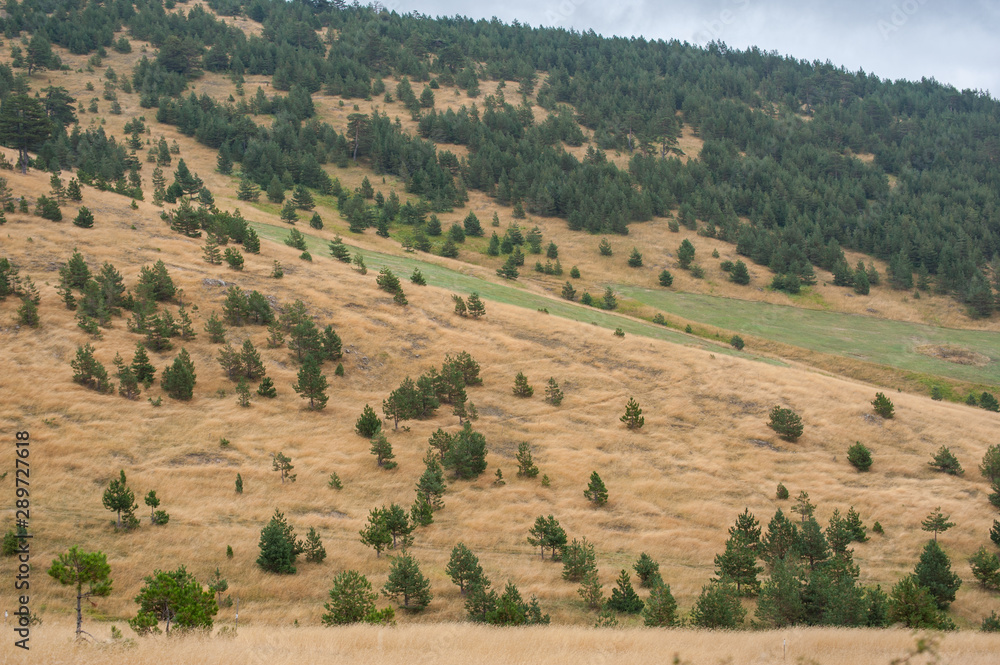 Fototapeta premium Hilly landscape in Serbia, Zlatibor. Beautiful view with hills, clouds, trees and wooden houses. Blue sky and grass. Beautiful plain. Foggy day and hills. Nature