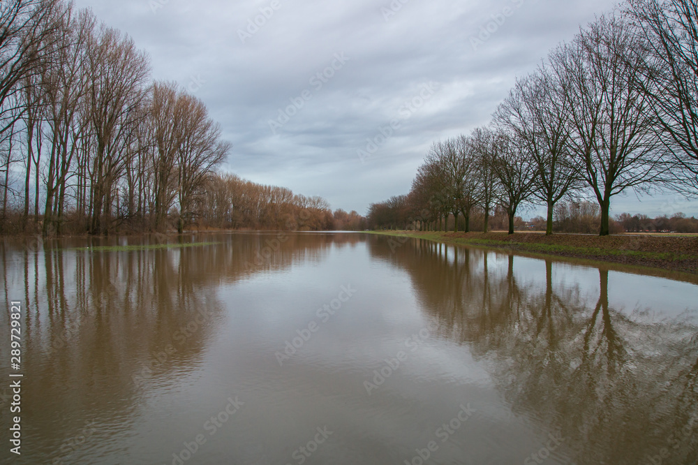 Flooded river floodplain in the morning sun.