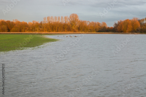 Flooded meadows in the winter morning sun. photo