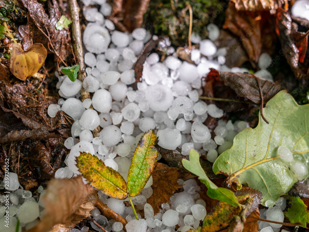 abstract close-up view with hail grains on colored leaf background, suitable for background abstract close-up view with hail grains on colored leaf background, suitable for background