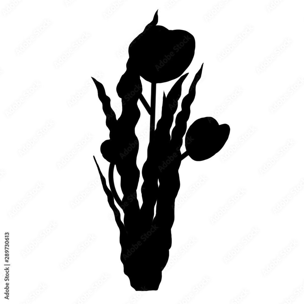 芍薬 花 素材 花束 シルエット 影 モノクロ Stock イラスト Adobe Stock