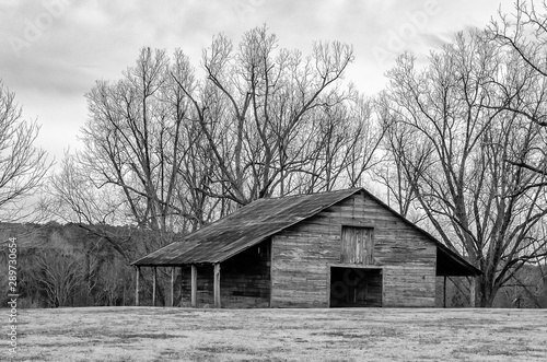 Wallpaper Mural Barn Black and White Torontodigital.ca