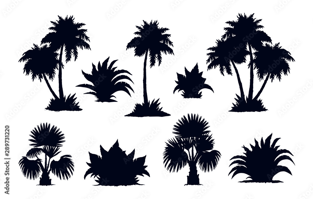 Fototapeta premium Palm forest. Vector drawing