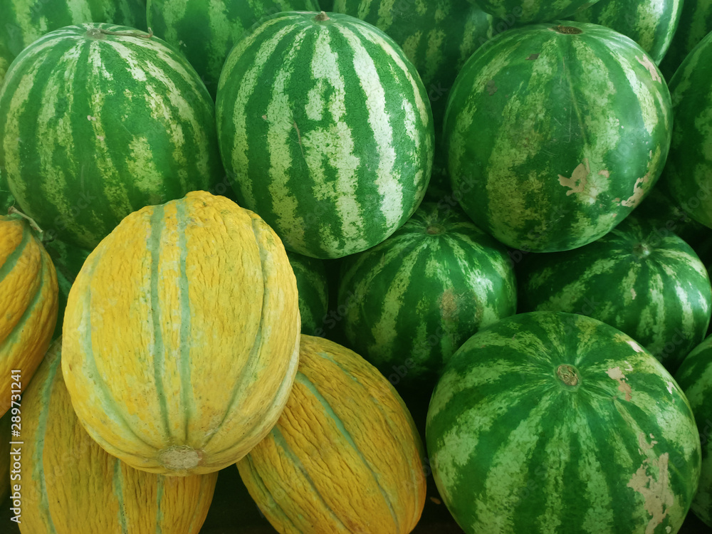 with lots of different fresh melon watermelons with lots of different fresh melon watermelons