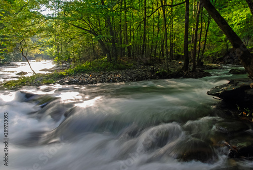 High Contrast Forest Light on White Water Rapids in Great Smoky Mountain National Park
