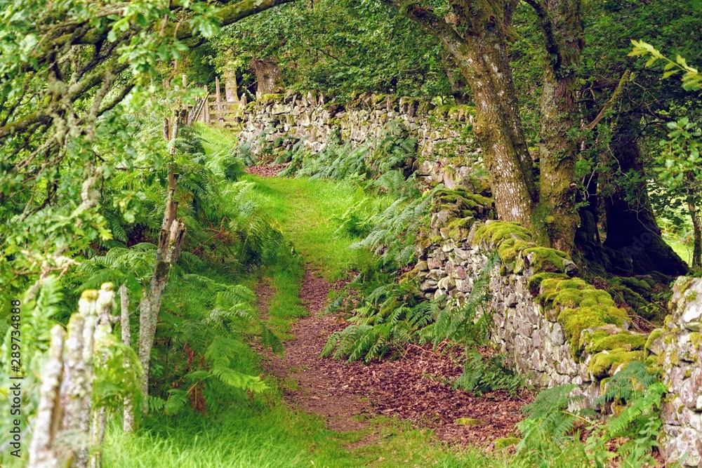 Pastoral Hiking Trail in Rural Wales Pastoral Hiking Trail in Rural Wales