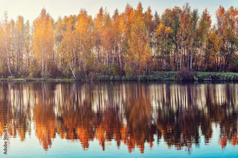 Obraz premium Reflection of the autumn mountain forest in the lake