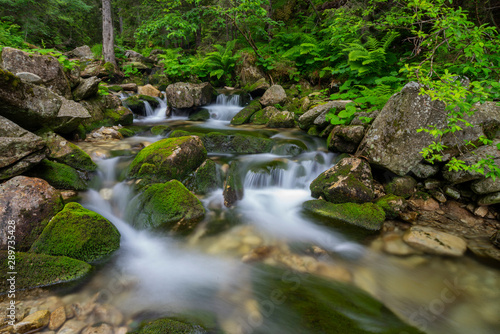 Fototapeta Naklejka Na Ścianę i Meble -  Waterfall from the Retezat National Park,Romania