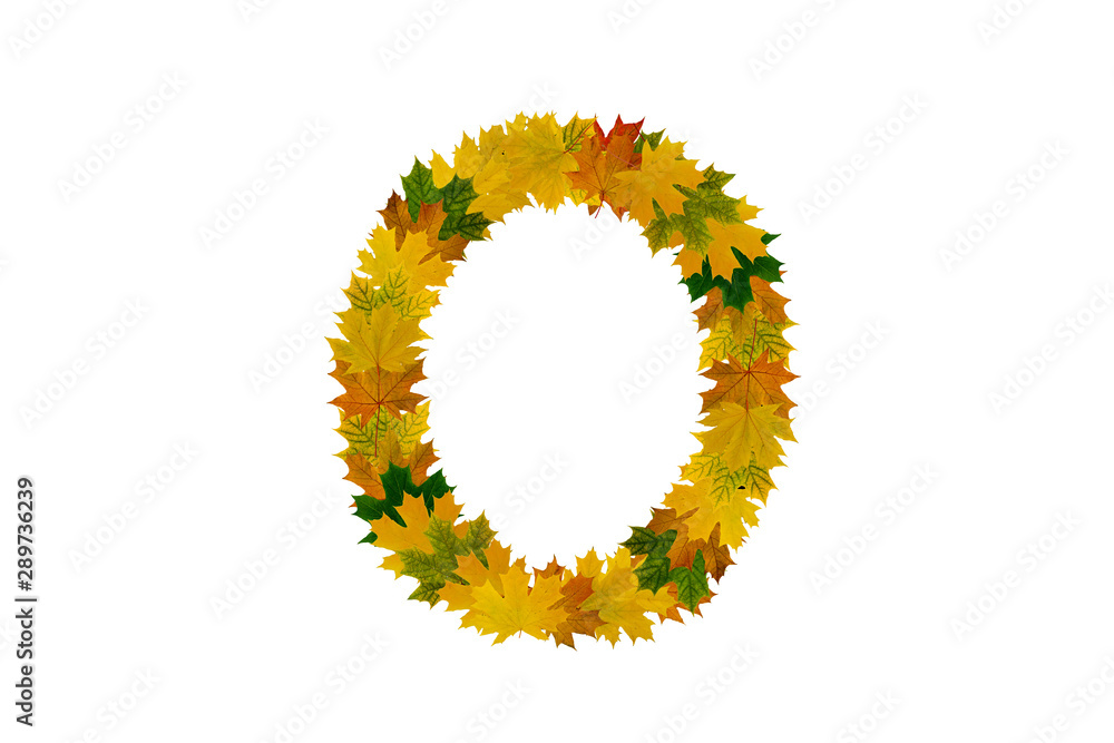 Letter O from autumn maple leaves. Alphabet from green, yellow and orange leaves Letter O from autumn maple leaves. Alphabet from green, yellow and orange leaves