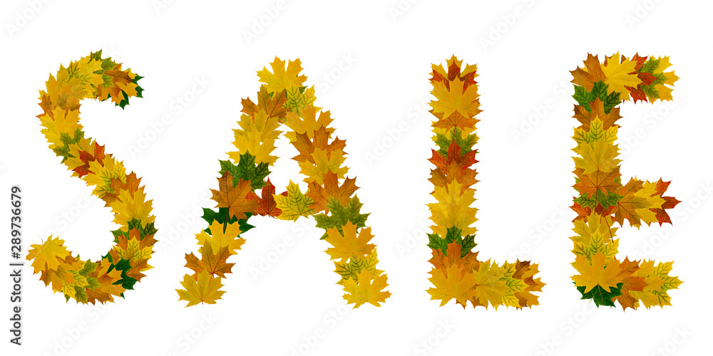 Phrase Sale of yellow, green and orange maple autumn leaves close-up. Isolate on white background Phrase Sale of yellow, green and orange maple autumn leaves close-up. Isolate on white background
