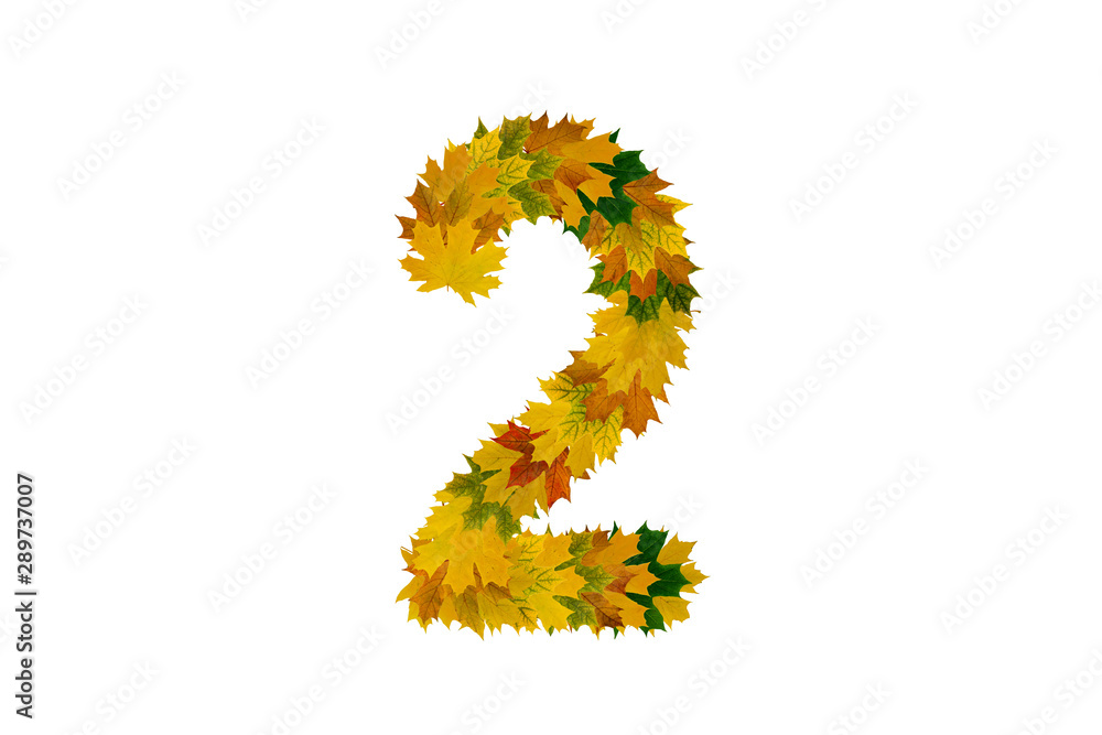Digit 2 from autumn maple leaves isolated on white background. Alphabet from green, yellow and orange leaves Digit 2 from autumn maple leaves isolated on white background. Alphabet from green, yellow and orange leaves