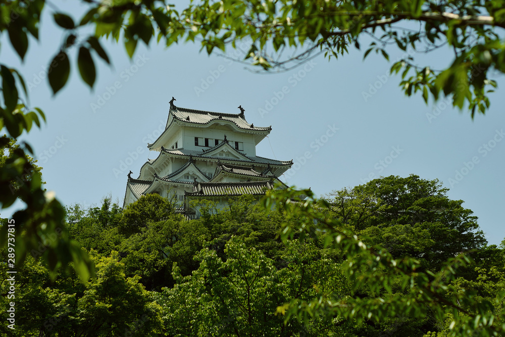 Fototapeta Japanische Burg im Wald