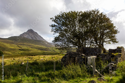 View of Errigal Mountain, Donegal with Old Farm Building Ruins photo