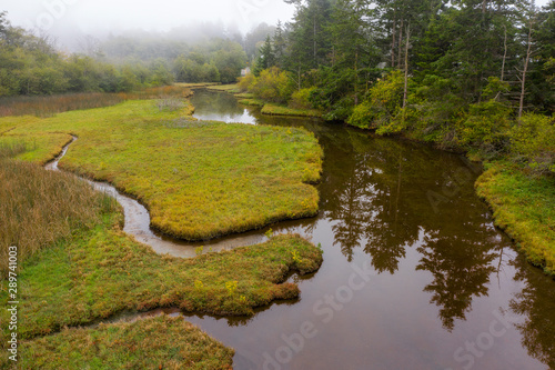 Island Wetland on a Foggy Morning. This wetland, seen on Lummi Island, Washington, runs out to the Salish Sea in the Puget Sound area of the Pacific Northwest.