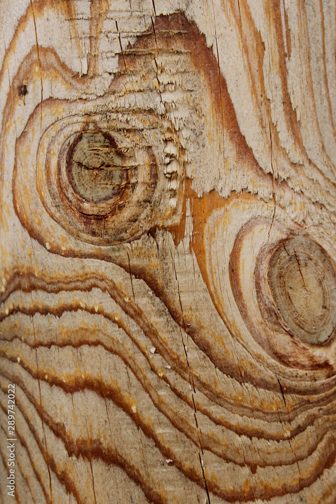Naklejka premium Blurred wooden texture background. Abstract nature texture with a lot of copy space for text.
