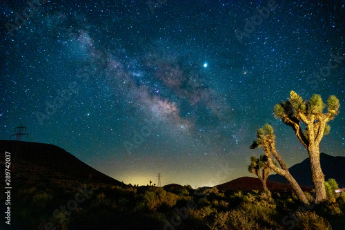 Joshua Tree under the milky way