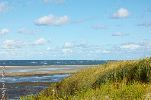 Langeoog D  nengras und Sandbank