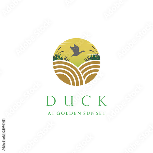 The beauty of a flying duck at dusk-conceptual illustrator vector