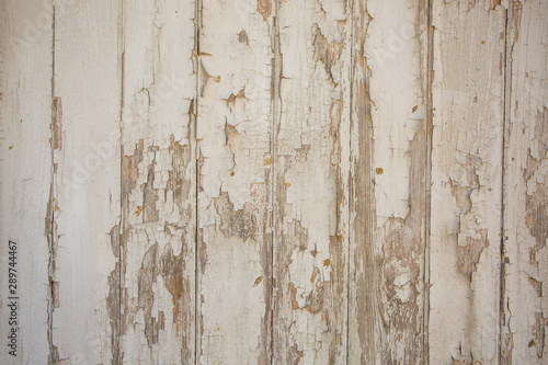 Realistic wooden background. Natural tones, grunge style. Wood Texture.  © panifuzja