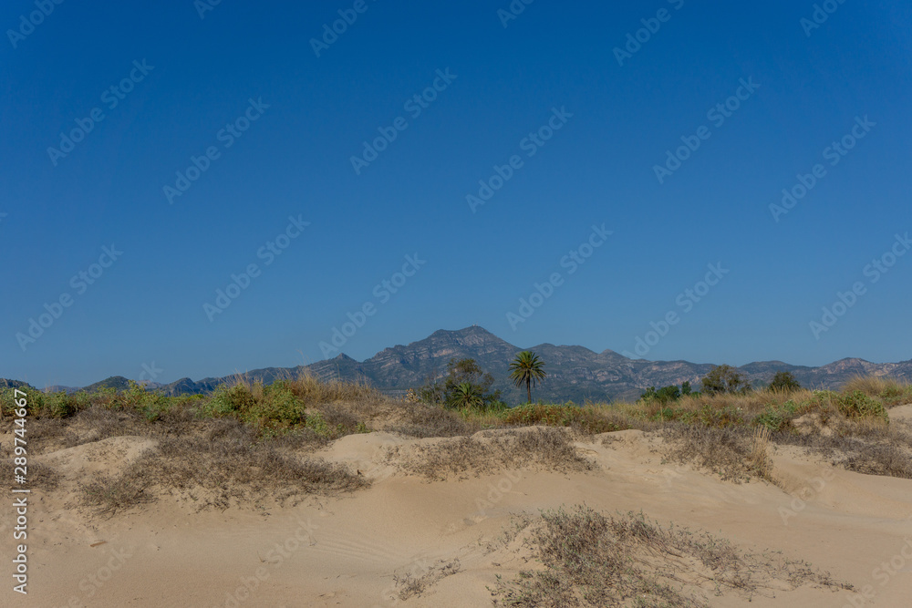 Wild nature with sand dunes, mountains and palm trees Wild nature with sand dunes, mountains and palm trees