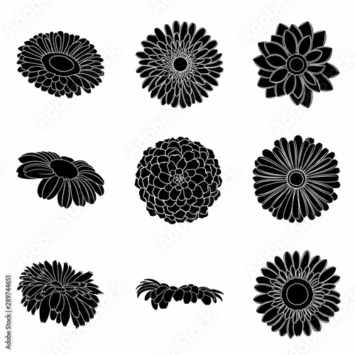 Vector set of detailed, realistic various flower bud silhouettes in black color, isolated, on white background.