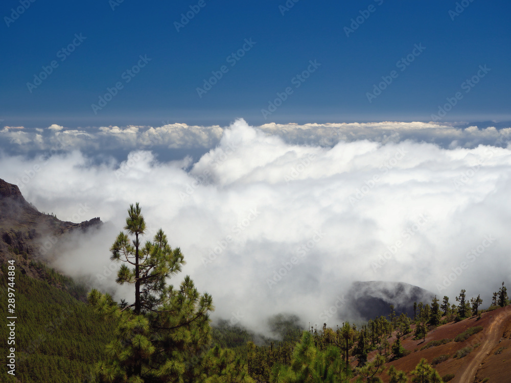 dense white cloud sea soars in the Teide National Park