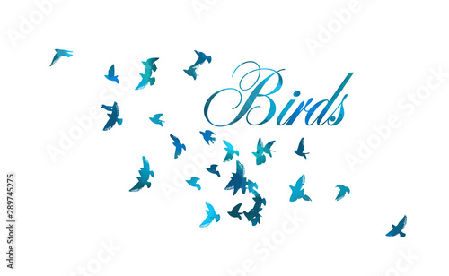 A flock of flying blue birds. Vector illustration