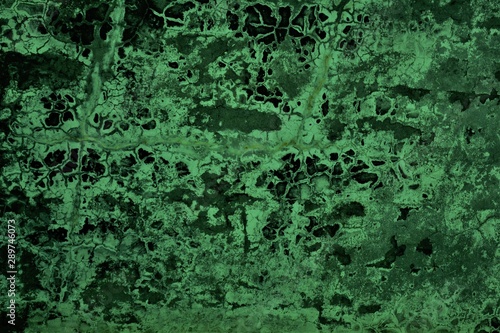 The background of the crack wall is green .Texture. 