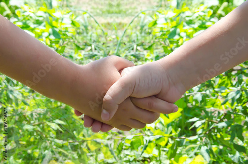 friendship, children's hands hold on the background of green grass, selective focus © natka80