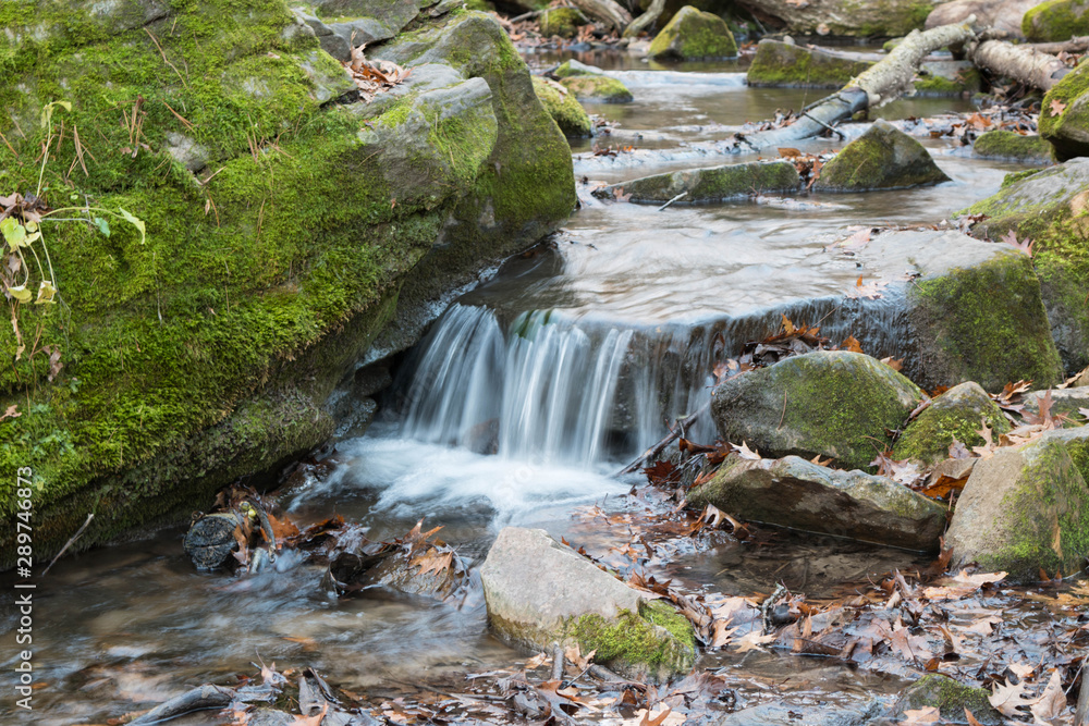 Fototapeta premium Stream in forest