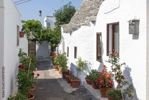 ALBEROBELLO, ITALY - AUGUSt 27 2017: Exterior of a traditional trullo house in Italy, with flowers around