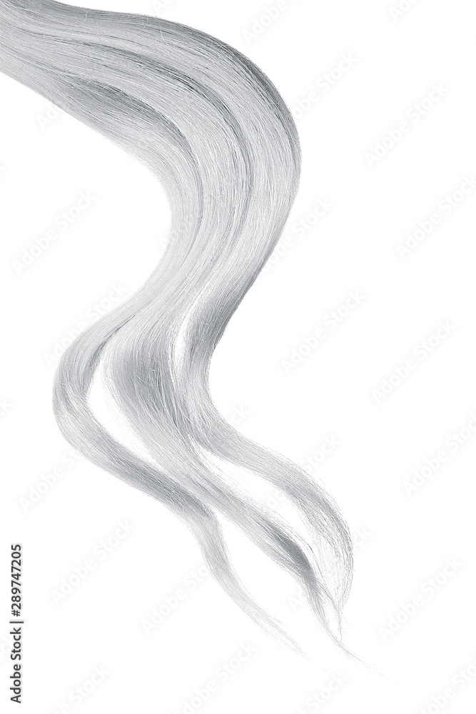 Gray hair, isolated on white background