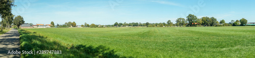 landscape with road field and blue sky