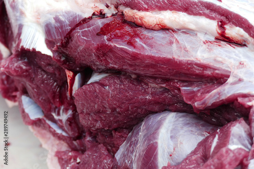 slaughter cattle bound feet, tied cattle ready to slaughter,